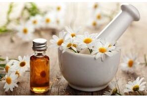 Botanical preparations based on chamomile flowers for the treatment of joint diseases