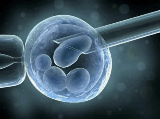 Stem cells for knee joint treatment